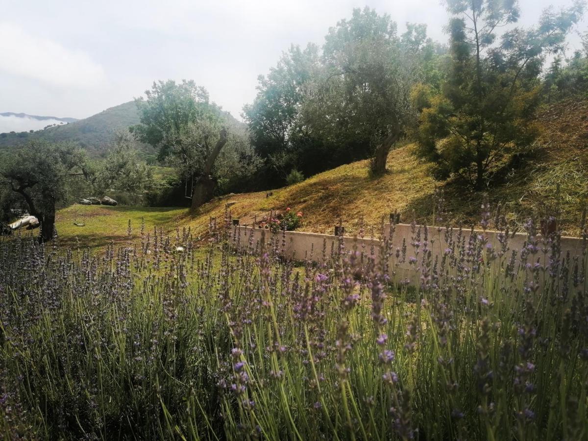 L'Opuntia Sul Lago Caccamo Dış mekan fotoğraf